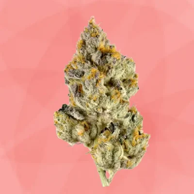 Lemon Cherry Gelato