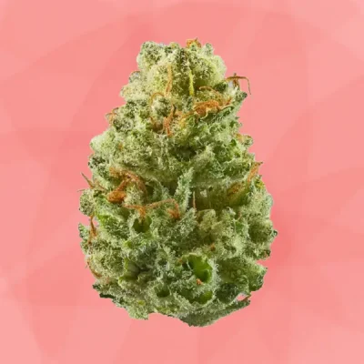 Sour Diesel